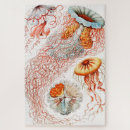 Search for biology puzzles Ernst haeckel