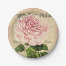 Search for vintage roses plates Girly