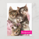 Search for cat joke invitations Cute