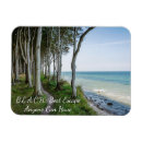 Search for motivational tree magnets Forest