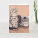 Search for strays cards Kitty