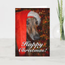 Search for whippet cards Greyhounds
