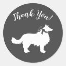 Search for border collie dog stickers Vintage