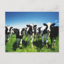 Search for farm town Nature