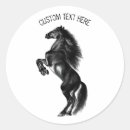 Search for black and white horse stickers Animal