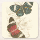 Search for butterfly coasters Nature