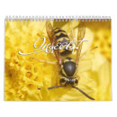 Search for spider calendars Insects