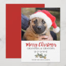 Search for grandma christmas cards Trendy
