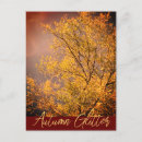 Search for glittering postcards Nature