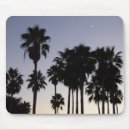 Search for blue palm tree mouse mats Photography