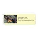 Search for sea creatures return address labels Starfish