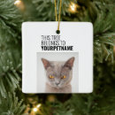 Search for grumpy cat christmas tree decorations Funny