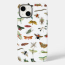 Search for insect cases Vintage