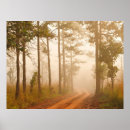 Search for beautiful dark posters Forest