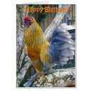 Search for rooster chicken birthday invitations Bird