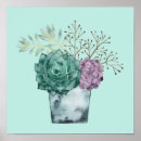 Search for succulent posters Cactus