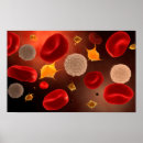 Search for immune posters Close up