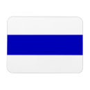 Search for antis magnets Flag