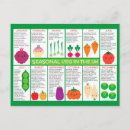 Search for vegetarianism postcards Vegetables