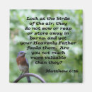 Search for bluebird magnets Inspirational