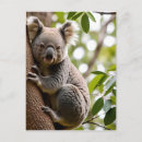 Search for climbing tree postcards Nature