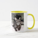 Search for cornish mugs Cat