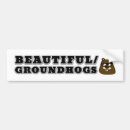 Search for beauty bumper stickers Beautiful