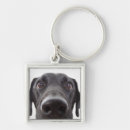 Search for black labrador key rings Pet