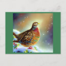 Search for partridge postcards Festive