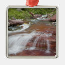 Search for glacier national park christmas tree decorations Nobody