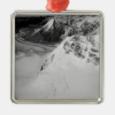 Search for denali national park christmas tree decorations Autumn