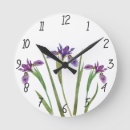 Search for white iris art Nature