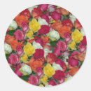 Search for galore stickers Roses