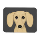 Search for smooth magnets Dachshund