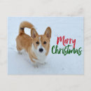 Search for welsh corgi christmas cards Cute