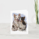 Search for border collie humor cards Funny