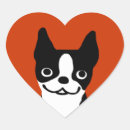 Search for boston terrier valentine Pets