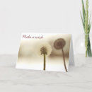 Search for shadow cards Dandelion