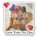 Search for add your own photo stickers Gravityx9
