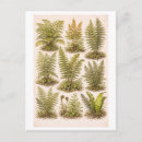 Search for styling postcards Vintage