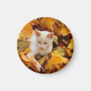 Search for subjects magnets Animals