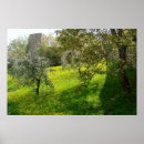 Search for idyllic posters Meadow