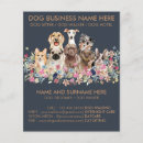 Search for pet sitting flyers Dog
