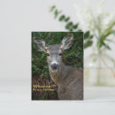 Search for hunting birthday cards Wildlife