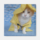 Search for kitty magnets Funny