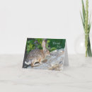 Search for cottontail cards Hare
