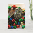 Search for turtle christmas cards Slider