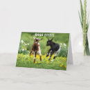 Search for wife 50th birthday cards Husband