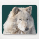 Search for timber wolf electronics Animals