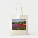 Search for eco bags Market